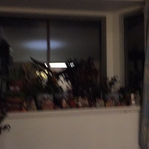 Meet your Posher, Rose